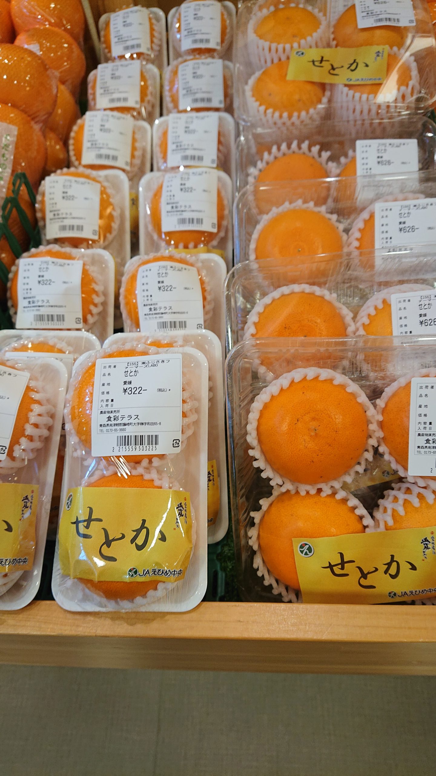 みかんの大トロ その名は・せとか | ふじさき食彩テラス｜青森県藤崎町